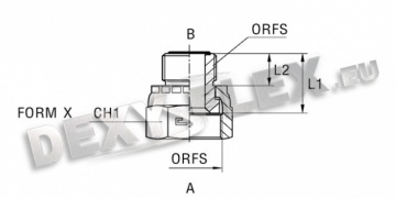 Produse / Fitinguri pentru conducte / ORFS inox / Reducerea dreaptă intermediară | inox Produse / Fitinguri pentru conducte / ORFS inox / Reducerea dreaptă intermediară | inox